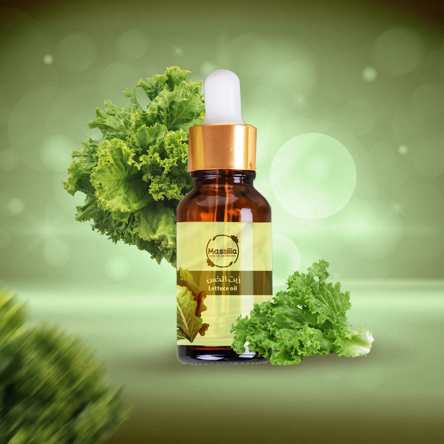 Lettuce oil